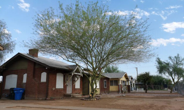 Contractor announces Imagine Coronado