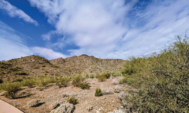 PMPC puts civic stewardship into action