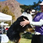 Furry Friends celebrates 10 years