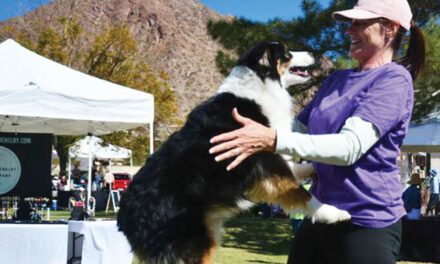 Furry Friends celebrates 10 years