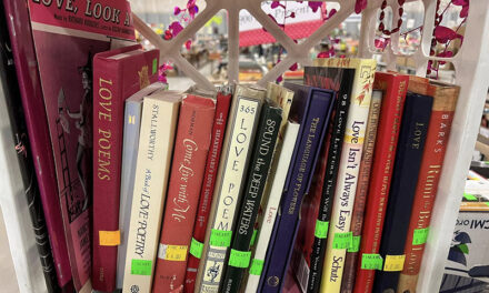 Annual VNSA book sale returns