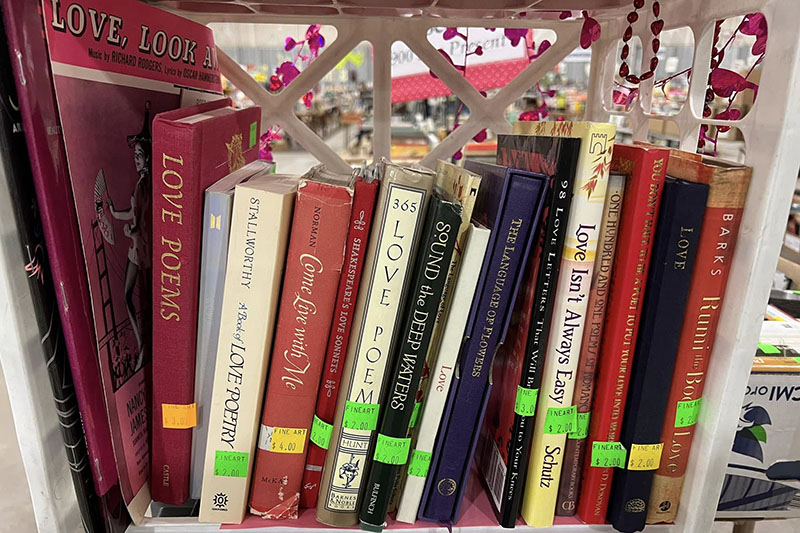 Annual VNSA book sale returns