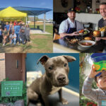 From the Editor: February 2026