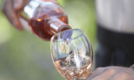 Wine festival set for Biltmore