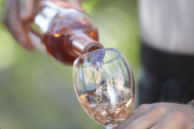 Wine festival set for Biltmore