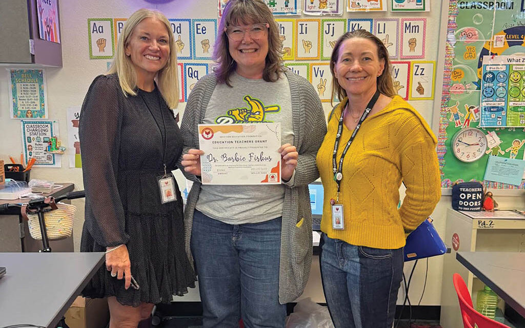 Teachers awarded record level of grants