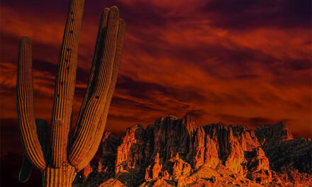 Environmental film festival debuts