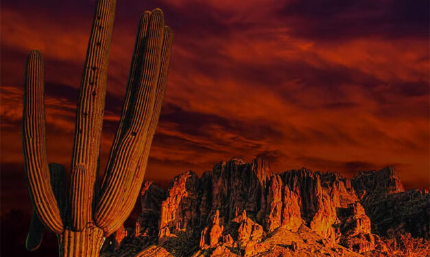 Environmental film festival debuts