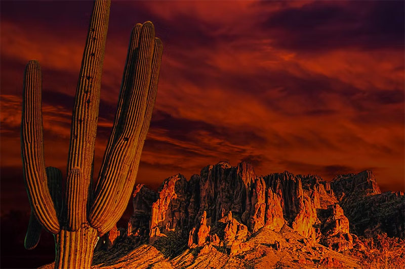 Environmental film festival debuts