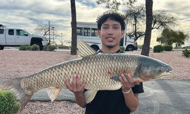 Charter and Private School Briefs – April 2026