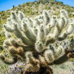 Fire ban continues in Phoenix preserves
