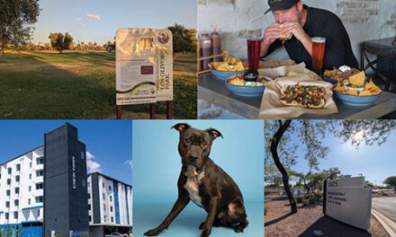 From the Editor: July 2026