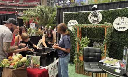 Home and landscape show returns