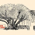 Lado a Lado coming to Uptown