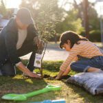 Shade trees available to SRP customers