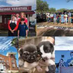 From the Editor: September 2026