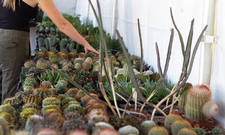 Plant sale celebrates ‘50’