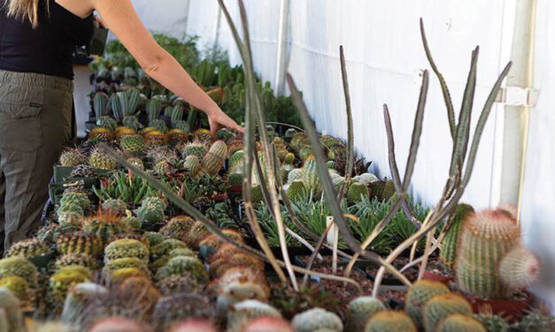 Plant sale celebrates ‘50’