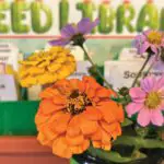 From garden to table: Cook healthy meals at home