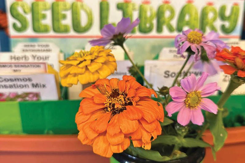 From garden to table: Cook healthy meals at home