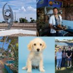 From the Editor: October 2026