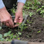 Get ready to garden