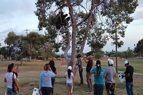 Grant win supports ‘Water for Shade’
