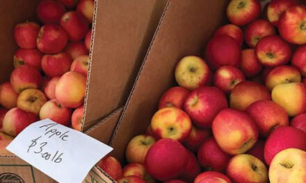 Market welcomes fall season